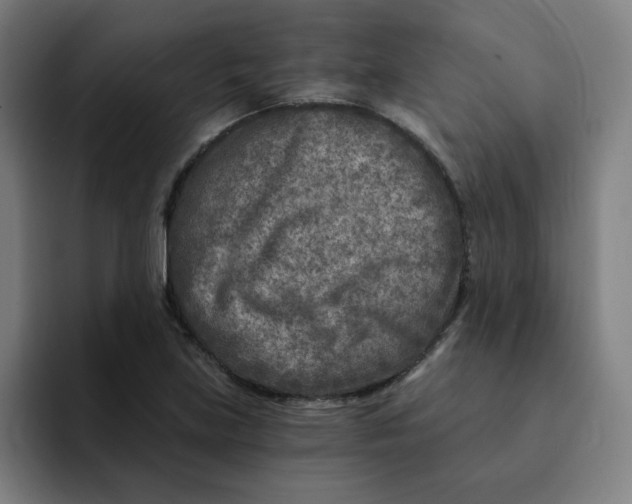 X0000091901219200709261652