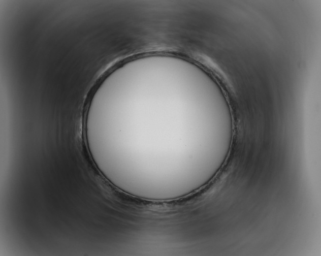 X0000091901220200709261652