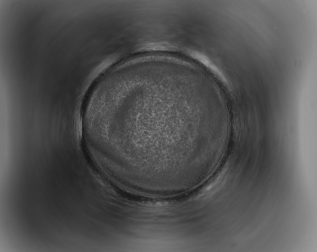 X0000091901221200709261652