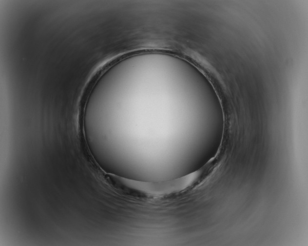 X0000091901222200709261652