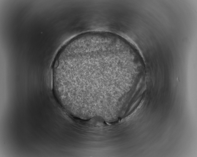 X0000091901223200709261652