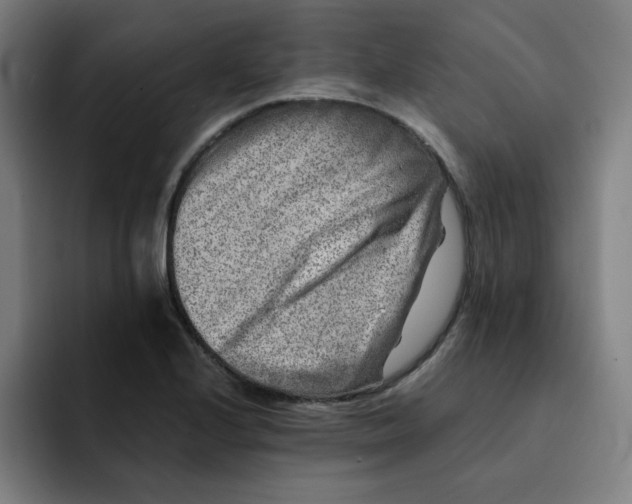 X0000091901224200709261652