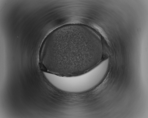 X0000091901226200709261652