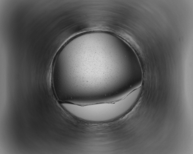 X0000091901228200709261652