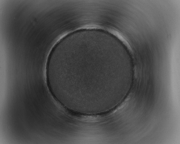 X0000091901229200709261652