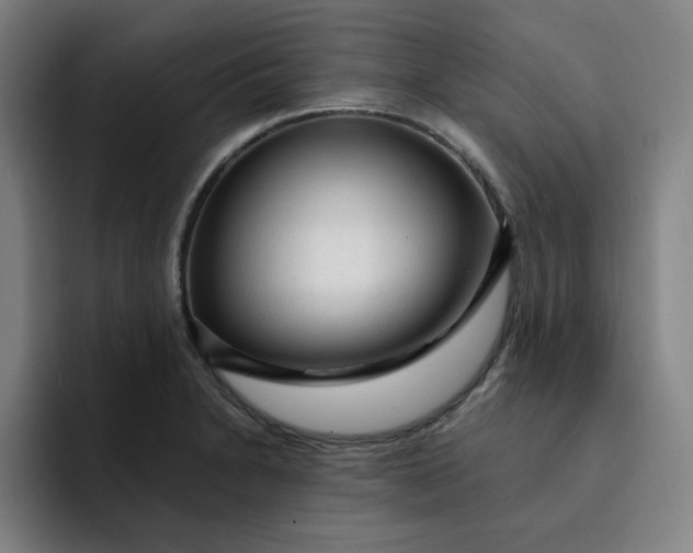 X0000091901230200709261652