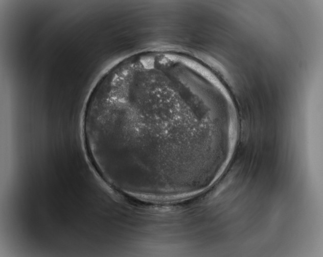 X0000091901231200709261652