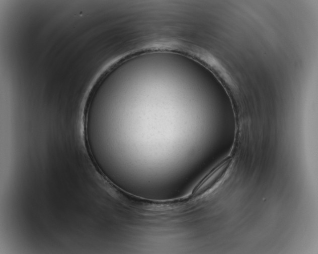 X0000091901232200709261652