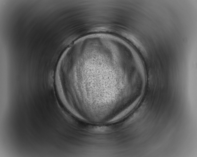 X0000091901233200709261652