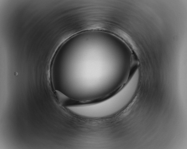 X0000091901234200709261652