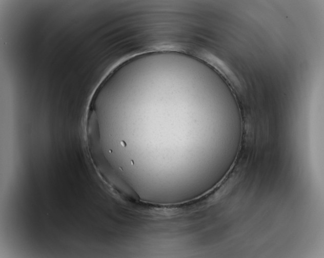 X0000091901236200709261652