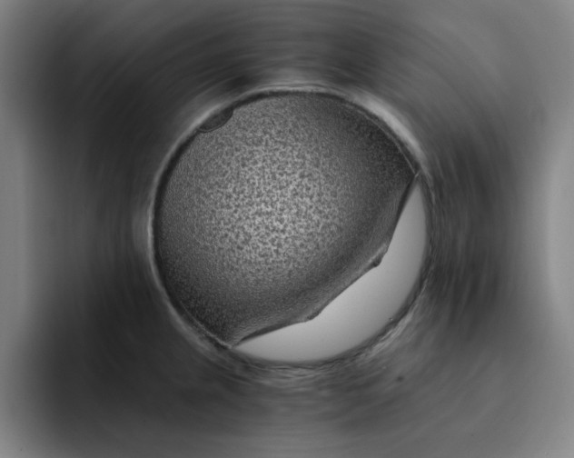 X0000091901237200709261652