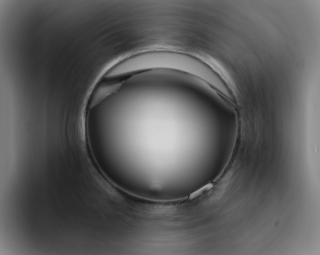 X0000091901238200709261652