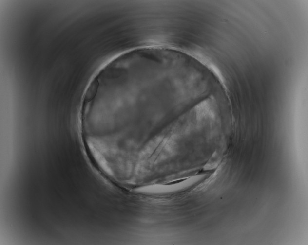 X0000091901239200709261652