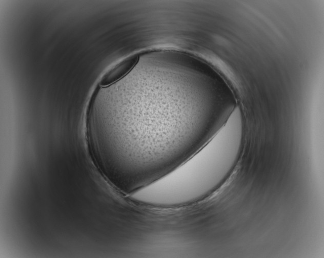 X0000091901240200709261652