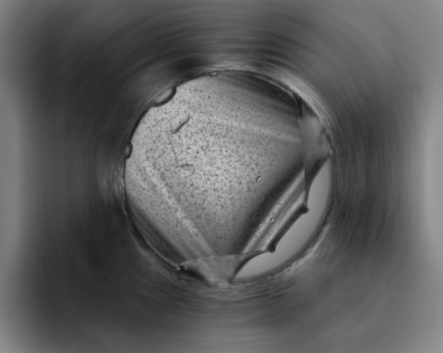 X0000091901241200709261652