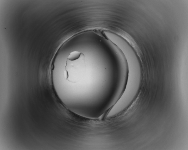 X0000091901242200709261652