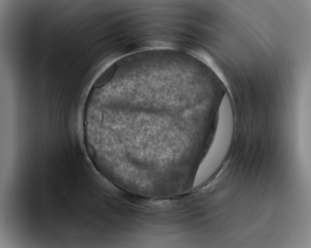 X0000091901243200709261652