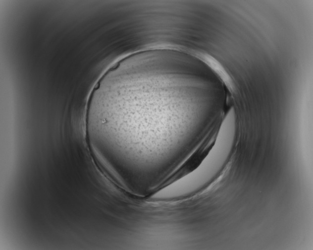 X0000091901244200709261652