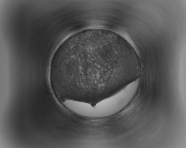 X0000091901245200709261652