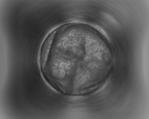 X0000091901247200709261652