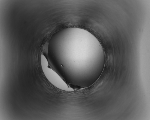 X0000091901250200709261651