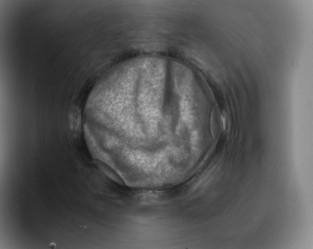 X0000091901251200709261651