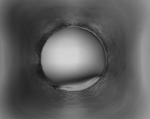 X0000091901253200709261651