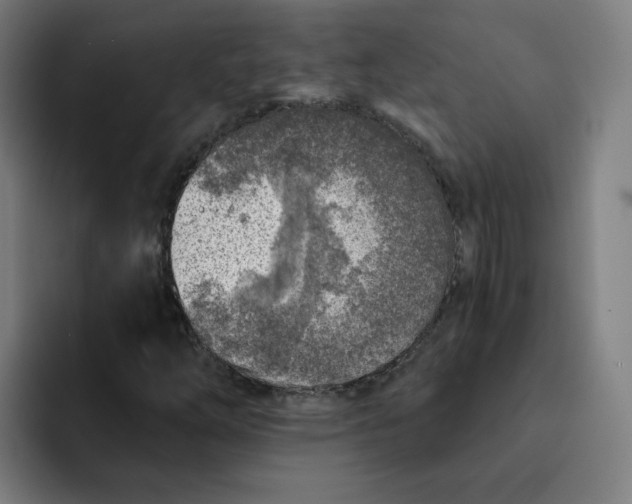 X0000091901254200709261651