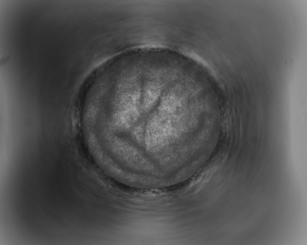 X0000091901255200709261651