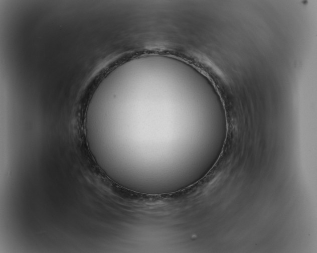 X0000091901256200709261651