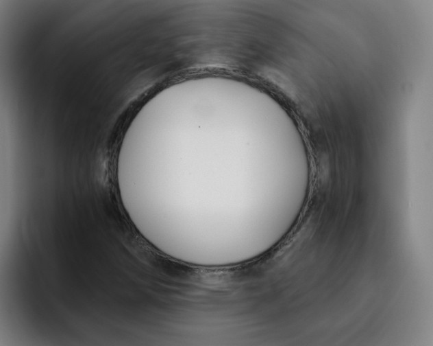 X0000091901258200709261651