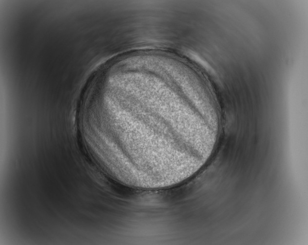 X0000091901259200709261651