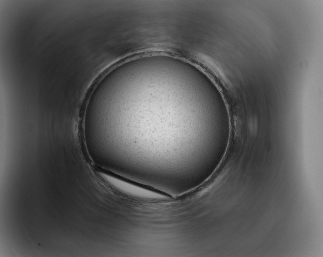 X0000091901260200709261651