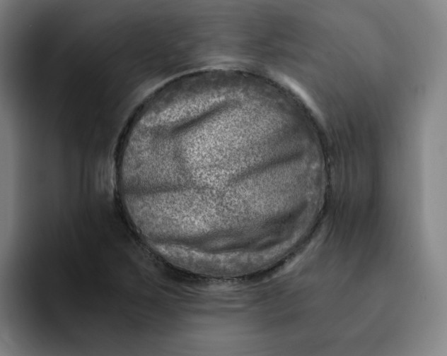 X0000091901267200709261651