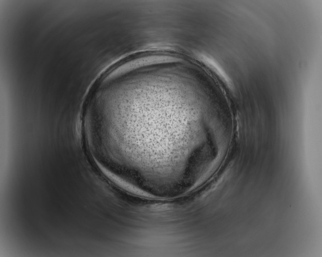 X0000091901268200709261651