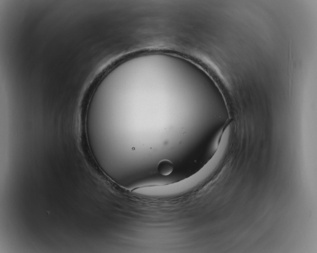 X0000091901270200709261651