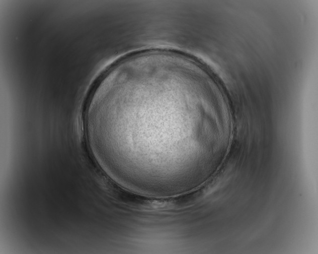 X0000091901271200709261651