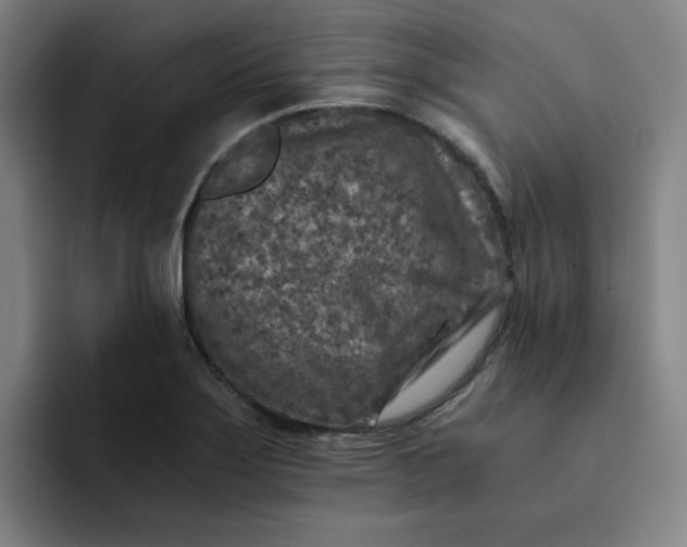 X0000091901275200709261651