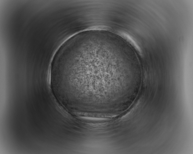 X0000091901276200709261651