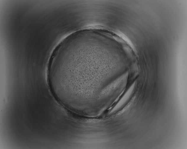 X0000091901277200709261651