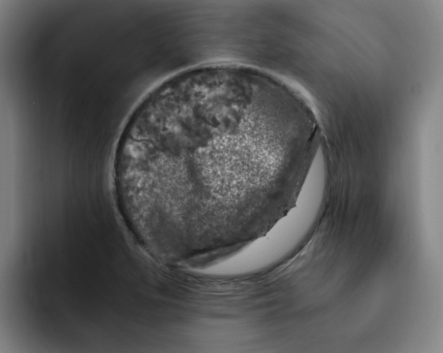 X0000091901279200709261651