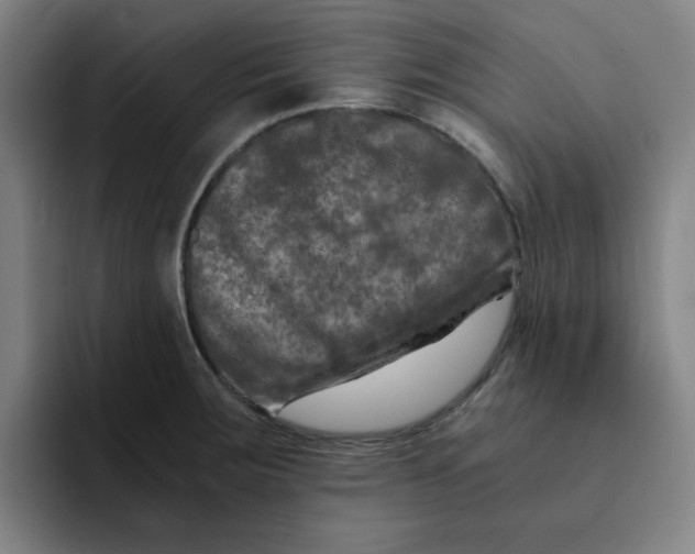 X0000091901283200709261651