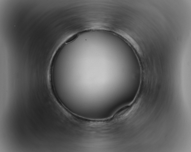 X0000091901285200709261651