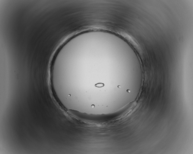 X0000091901286200709261651