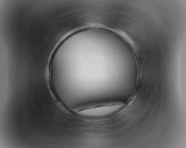 X0000091901287200709261651