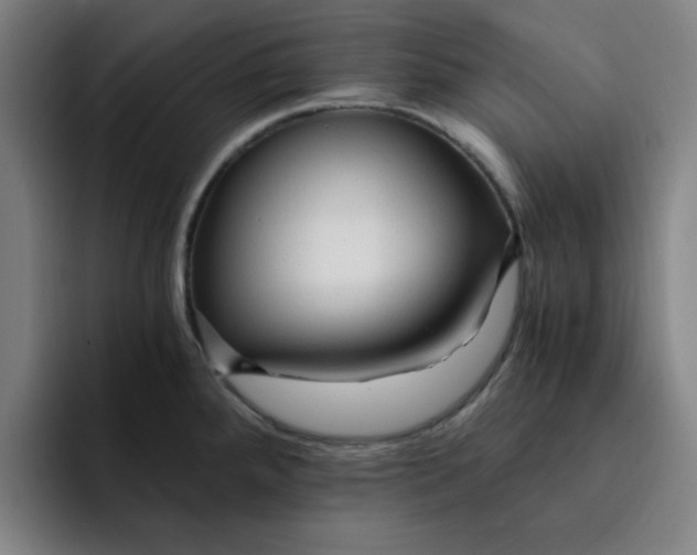 X0000091901288200709261651