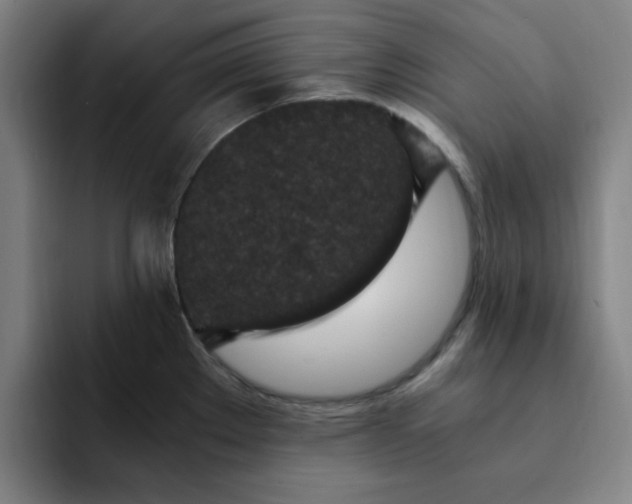 X0000091901289200709261651