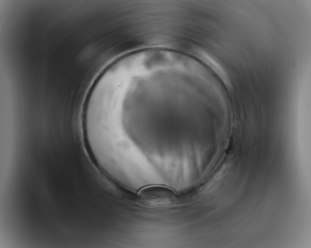 X0000091901291200709261651