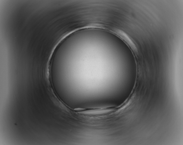 X0000091901292200709261651